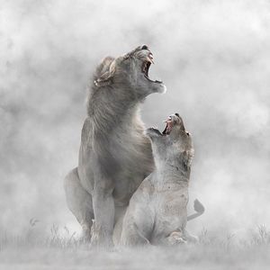 Meet your Posher, Augusto